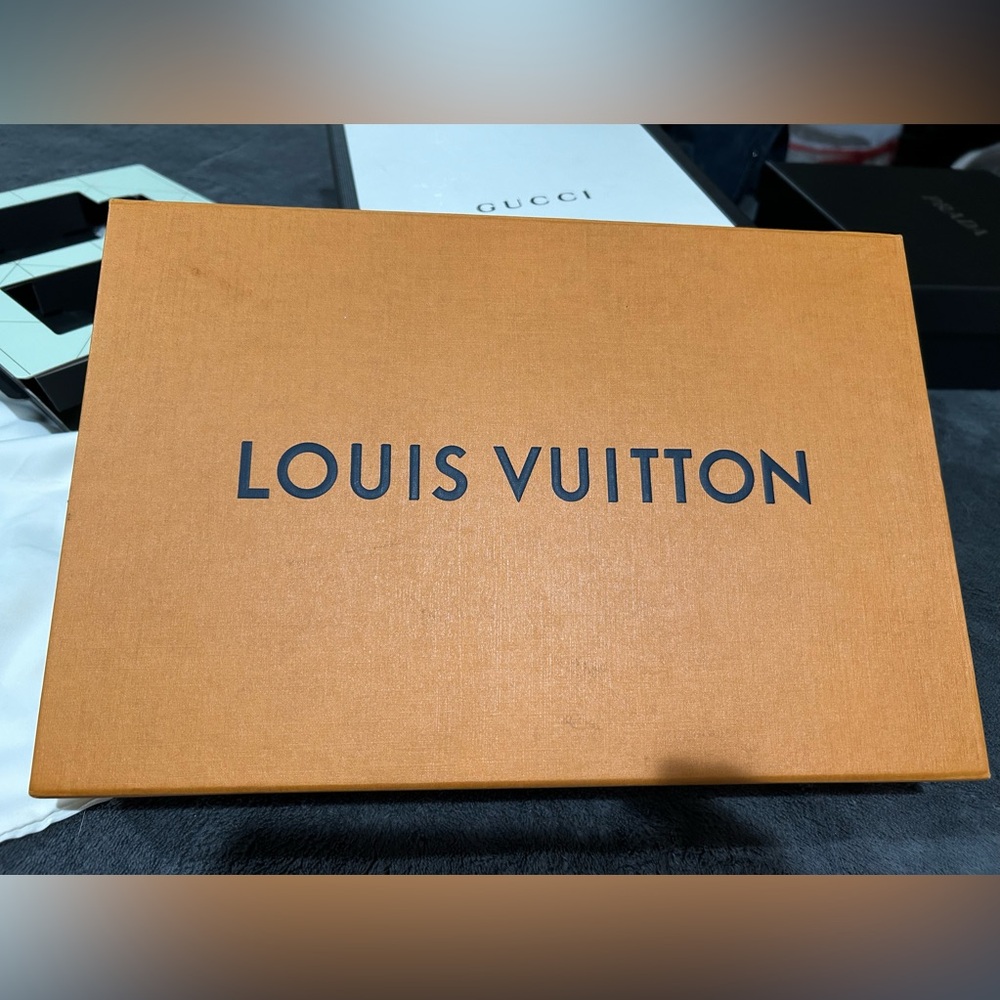 Louis Vuitton for  Favorite or Pochette LV BOX ONLY